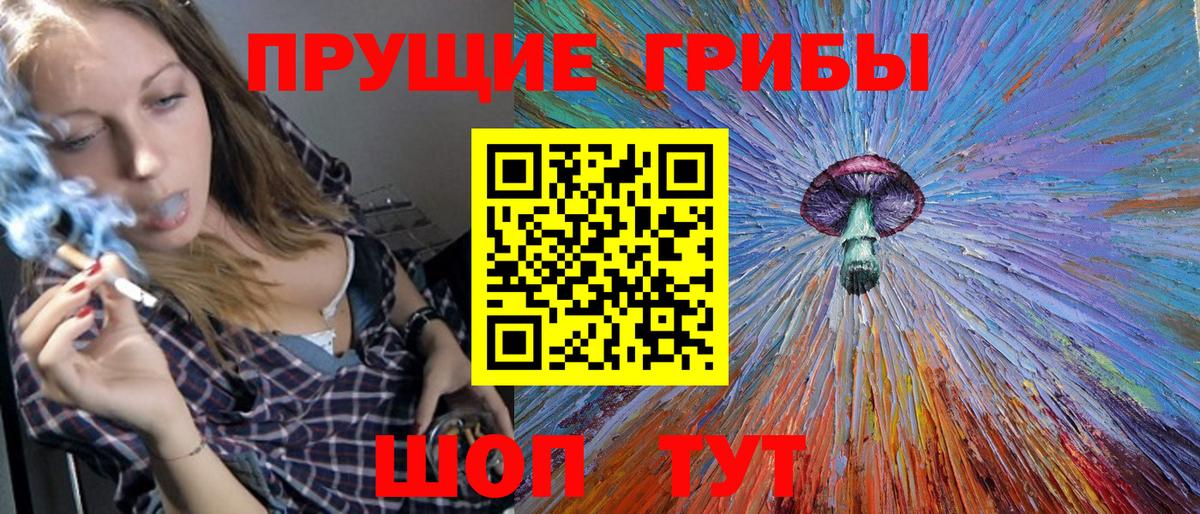 Галлюциногенные грибы Psilocybe Чайковский
